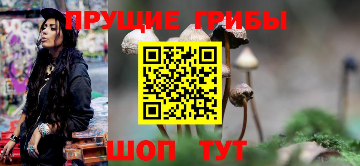 Галлюциногенные грибы Magic Shrooms Ртищево