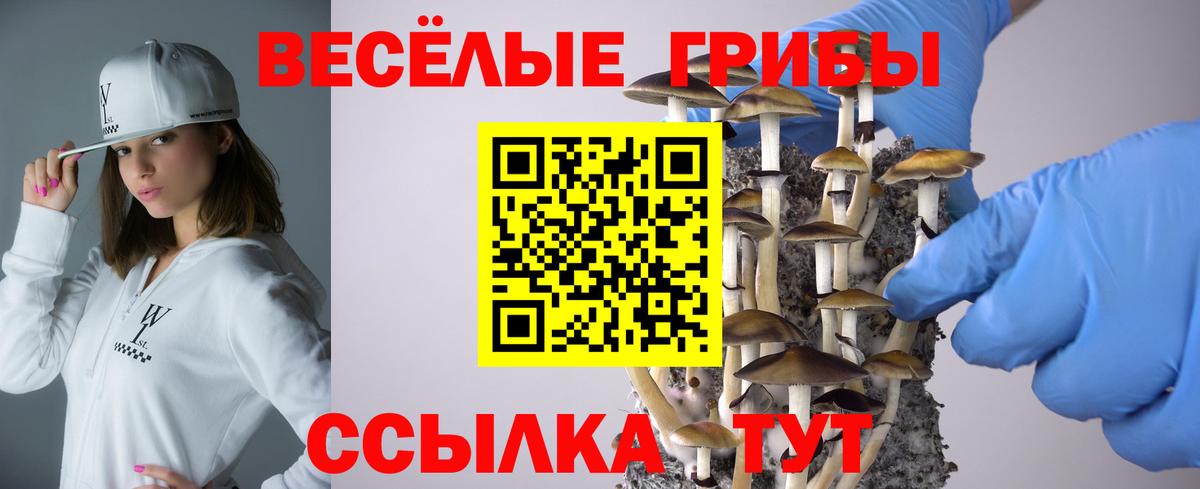 хочу   Псилоцибиновые грибы мухоморы  Вход с VPN  Ртищево  Галлюциногенные грибы GOLDEN TEACHER 