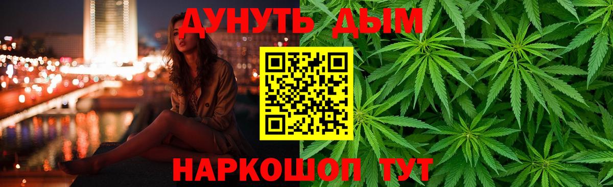 Конопля семена  Каннабис сатива  Ртищево  Вход с VPN  Марихуана Bruce Banner 
